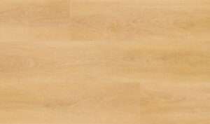 Easy + Base HD Miel - Imatge 3